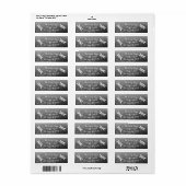 Schwarz-Weiß-Libelle (Vorne)