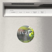Schwarz-Weiß-Libelle Magnet (In Situ (Geschirrspüler))