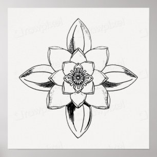 Schwarz-weiß-Line-Zeichnung Wasserlilie-Blume Poster
