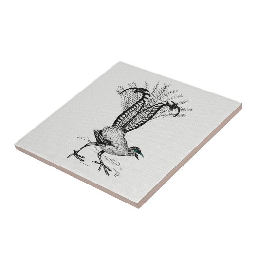 Schwarz-Weiß-Linie Zeichnend Lyre Bird Fliese (Seite)