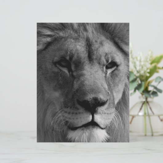 Schwarz-Weiß-Lion Briefbogen (Stehend Vorderseite)