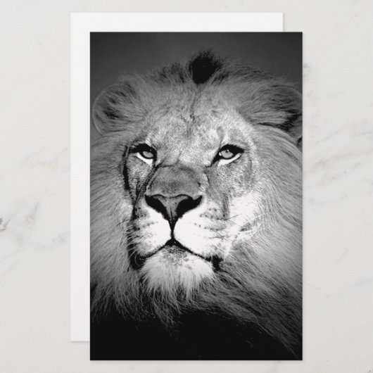 Schwarz-Weiß-Lion Briefpapier (Vorne/Hinten)