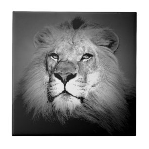 Schwarz-Weiß-Lion Fliese