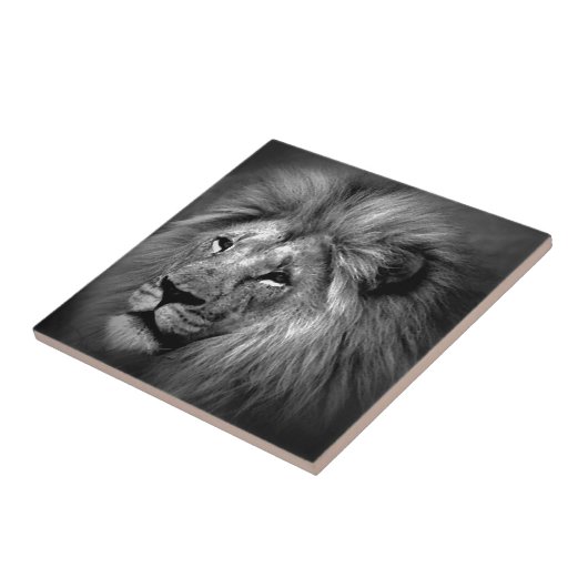 Schwarz-Weiß-Lion Fliese (Seite)