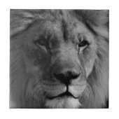 Schwarz-Weiß-Lion Fliese (Vorderseite)