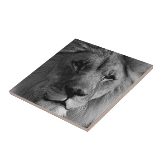 Schwarz-Weiß-Lion Fliese (Seite)