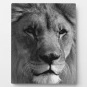 Schwarz-Weiß-Lion Fotoplatte (Vorderseite)