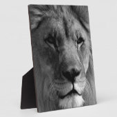Schwarz-Weiß-Lion Fotoplatte (Seite)