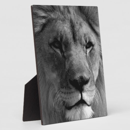 Schwarz-Weiß-Lion Fotoplatte (Seite)