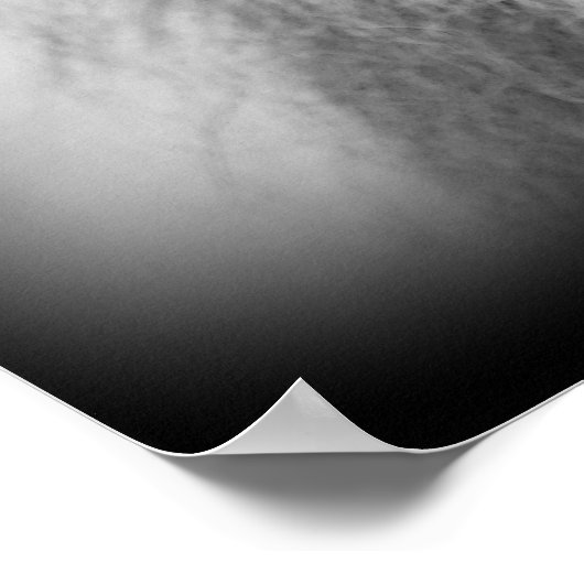 Schwarz-Weiß-Lion mit blauen Augen Poster (Ecke)