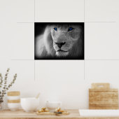 Schwarz-Weiß-Lion mit blauen Augen Poster (Küche)