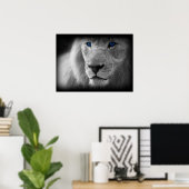 Schwarz-Weiß-Lion mit blauen Augen Poster (Heimbüro)