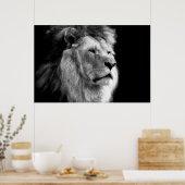 Schwarz-Weiß-Lion Poster (Küche)