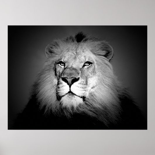 Schwarz-Weiß-Lion-Poster drucken Poster (Vorne)