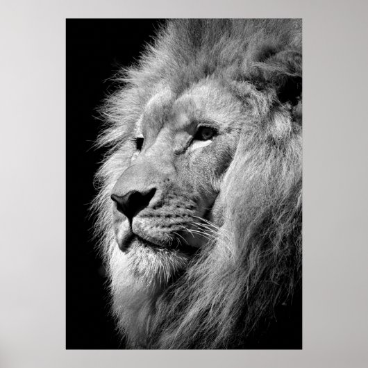 Schwarz-Weiß-Lion / Tierfotografie Kunst Poster (Vorne)