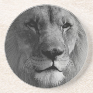 Schwarz-Weiß-Lion Untersetzer