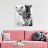 Schwarz-Weiß-Löwe Leinwanddruck (Insitu (Wohnzimmer))
