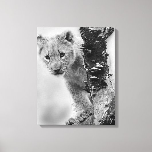 Schwarz-Weiß-Löwe Leinwanddruck (Vorderseite)