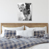Schwarz-Weiß-Löwe Leinwanddruck (Insitu (Schlafzimmer))
