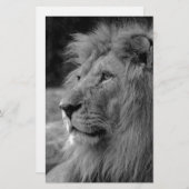 Schwarz-Weiß-Löwe - Wildtier Briefpapier (Vorne/Hinten)