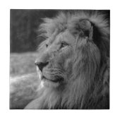 Schwarz-Weiß-Löwe - Wildtier Fliese (Vorderseite)