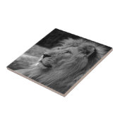 Schwarz-Weiß-Löwe - Wildtier Fliese (Seite)