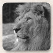 Schwarz-Weiß-Löwe - Wildtier Getränkeuntersetzer (Vorderseite)