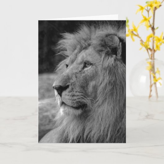 Schwarz-Weiß-Löwe - Wildtier Karte (Gelbe Blume)