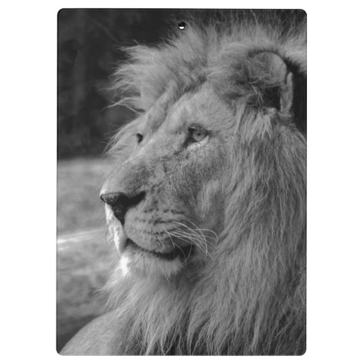 Schwarz-Weiß-Löwe - Wildtier Klemmbrett (Rückseite)