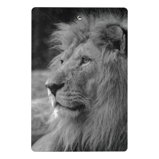 Schwarz-Weiß-Löwe - Wildtier Mini Klemmbrett (Rückseite)