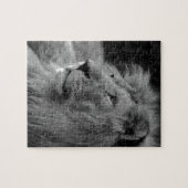 Schwarz-Weiß-Löwe - Wildtier Puzzle (Horizontal)