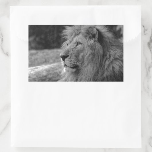 Schwarz-Weiß-Löwe - Wildtier Rechteckiger Aufkleber (Tasche)