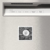 Schwarz-Weiß-Lüster-Magnet Magnet (In Situ (Geschirrspüler))