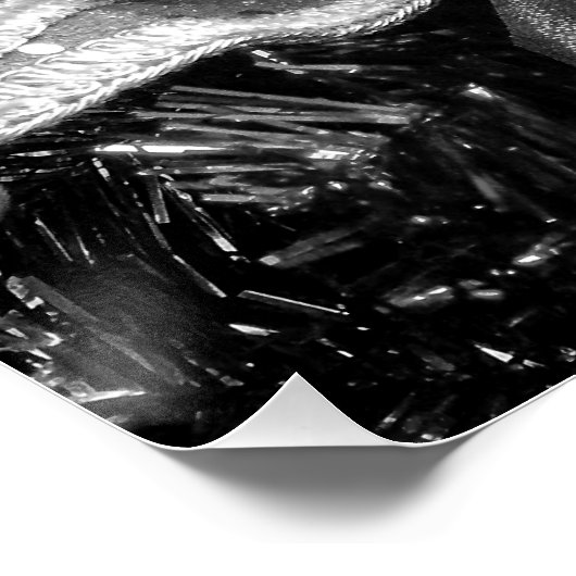 Schwarz-Weiß-Mardi-Gras-Maske Poster (Ecke)