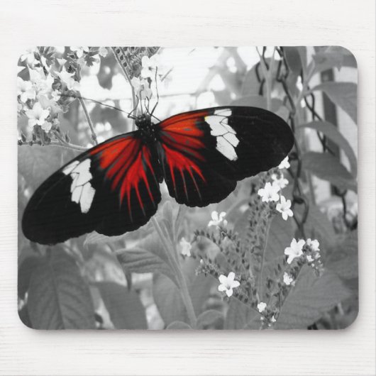 Schwarz-Weiß-Maus-Pad Roter Schmetterling Mousepad (Vorne)