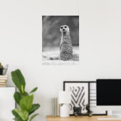Schwarz/Weiß Meerkat Portrait Wildlife Poster (Heimbüro)