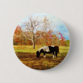 Schwarz-Weiß-Miniaturpony / Pferd Button (Vorderseite)