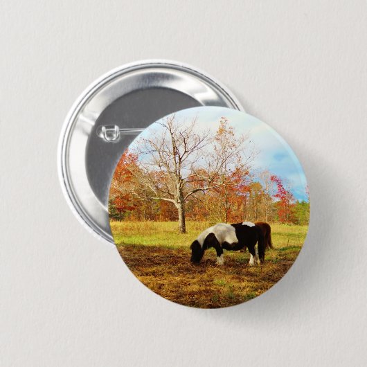 Schwarz-Weiß-Miniaturpony / Pferd Button (Vorne & Hinten)