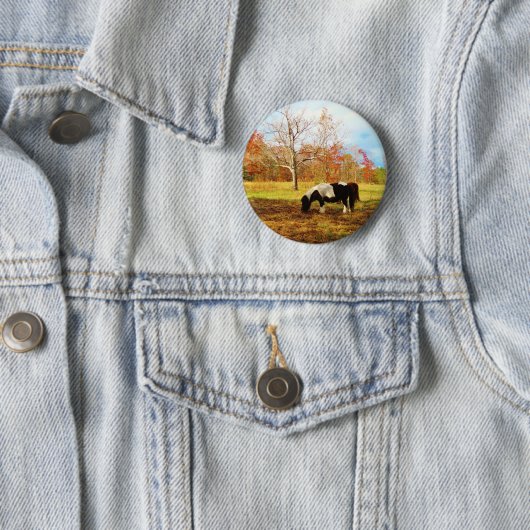 Schwarz-Weiß-Miniaturpony / Pferd Button (Beispiel)
