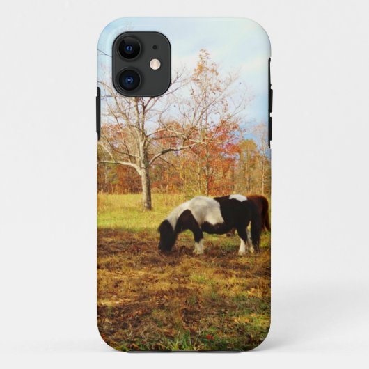 Schwarz-Weiß-Miniaturpony / Pferd Case-Mate iPhone Hülle (Rückseite)