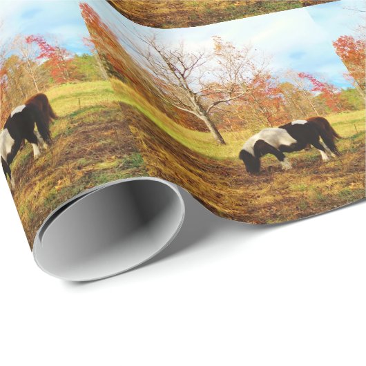Schwarz-Weiß-Miniaturpony / Pferd Geschenkpapier (Rolleneckpunkt)