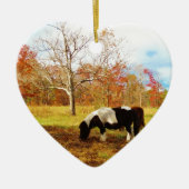 Schwarz-Weiß-Miniaturpony / Pferd Keramik Ornament (Vorne)