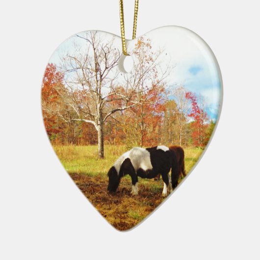 Schwarz-Weiß-Miniaturpony / Pferd Keramik Ornament (Links)