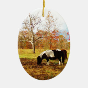 Schwarz-Weiß-Miniaturpony / Pferd Keramikornament