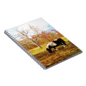 Schwarz-Weiß-Miniaturpony / Pferd Notizblock (Rechte Seite)