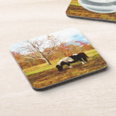 Schwarz-Weiß-Miniaturpony / Pferd Untersetzer (Linke Seite)