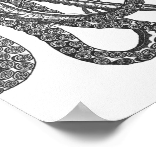 Schwarz-Weiß-Modern-Octopus-Poster Poster (Ecke)