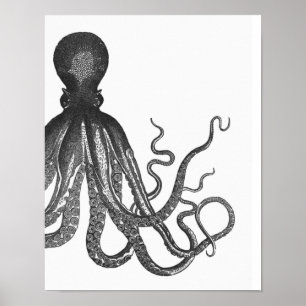 Schwarz-Weiß-Modern-Octopus-Poster Poster