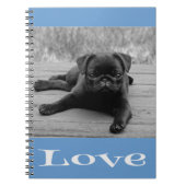Schwarz-Weiß-Mops-Welpe-Dog Blue-Liebe-Notebook Notizblock (Vorderseite)
