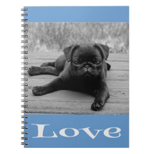 Schwarz-Weiß-Mops-Welpe-Dog Blue-Liebe-Notebook Notizblock